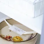 Prima Fuer Bis Zu 7 Gaeste- Stilvolles Im Zentrum Nahe Rathaus - Hochwertige Betten Und Bettwaesche - Voll Ausgestattete Kueche - 4k Smart Tv - Aufzug - Kostenlose Nacht Tiefgarage 20-30 Bis 9-30 Uhr Mit 28 Stellplaetzen Je Nach Apartment